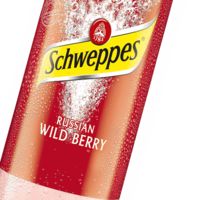 Produktbild Schweppes Russian Wild Berry